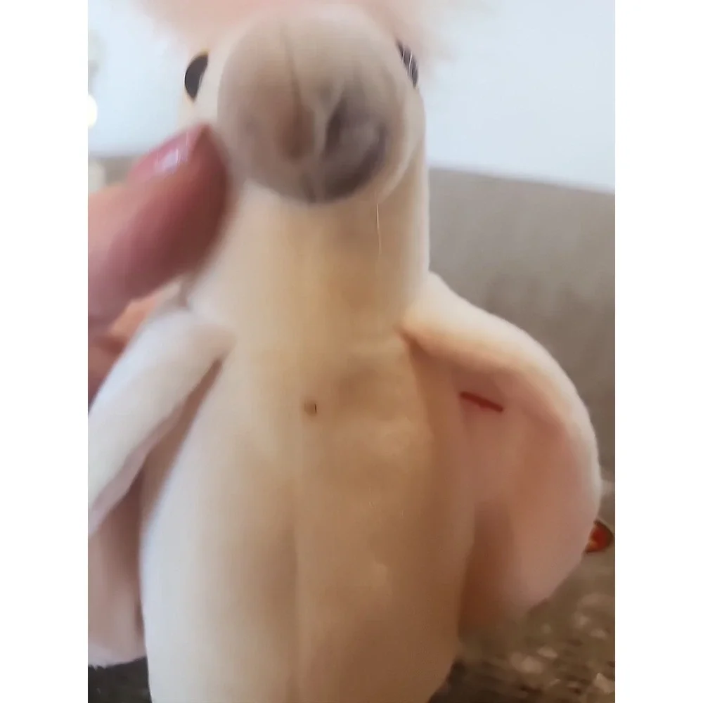 Ty Beanie Babies Kuku Cockatoo Bird #628 Retired